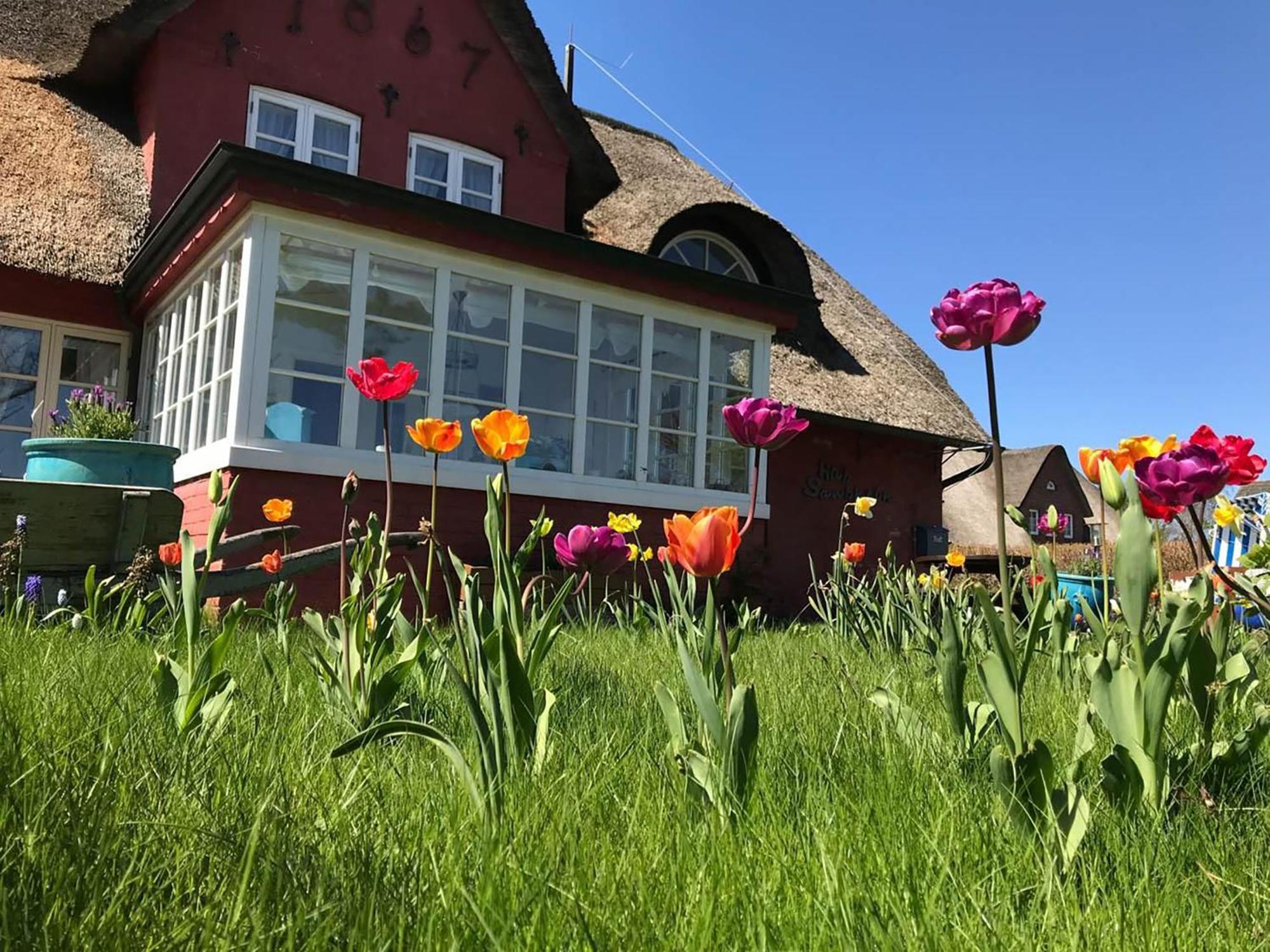 Hues Sanskiin Ferienwohnung *Goodshenk* Suddorf 外观 照片